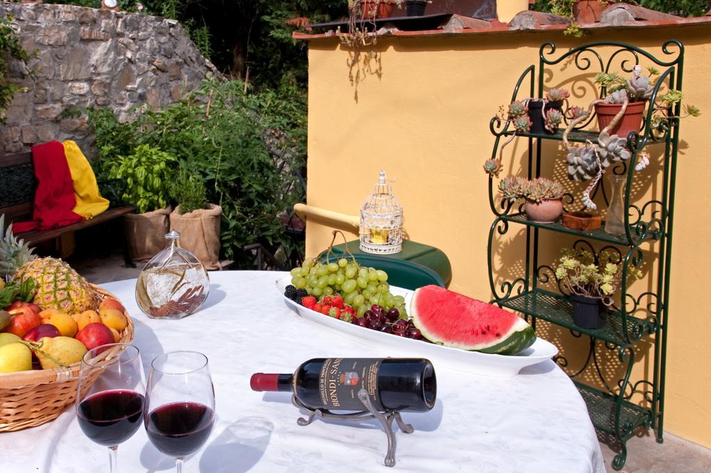 Ulivo Rosso * Sesto Fiorentino
